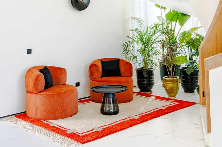 The Allure of Geometric Rugs: Transform Your Space with Bold Patterns